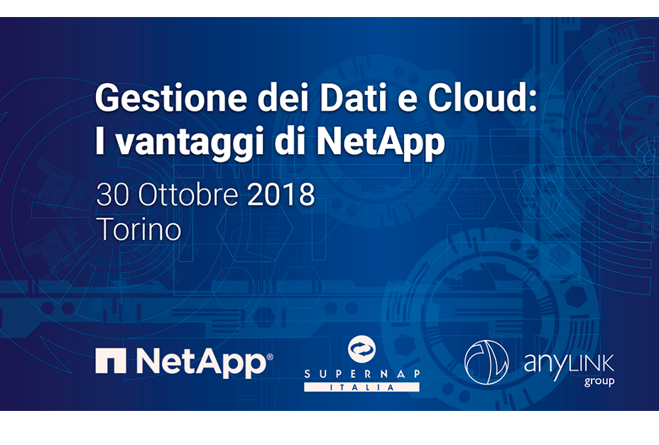 anylink-netapp2